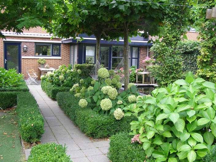 annabellen en buxus