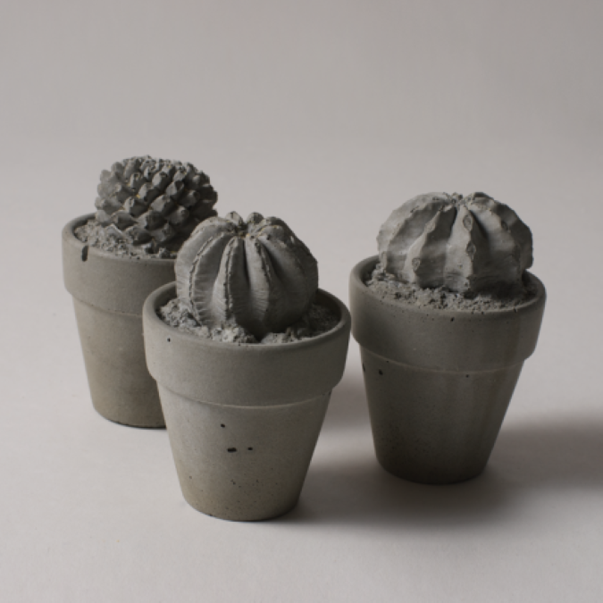 cactus van beton